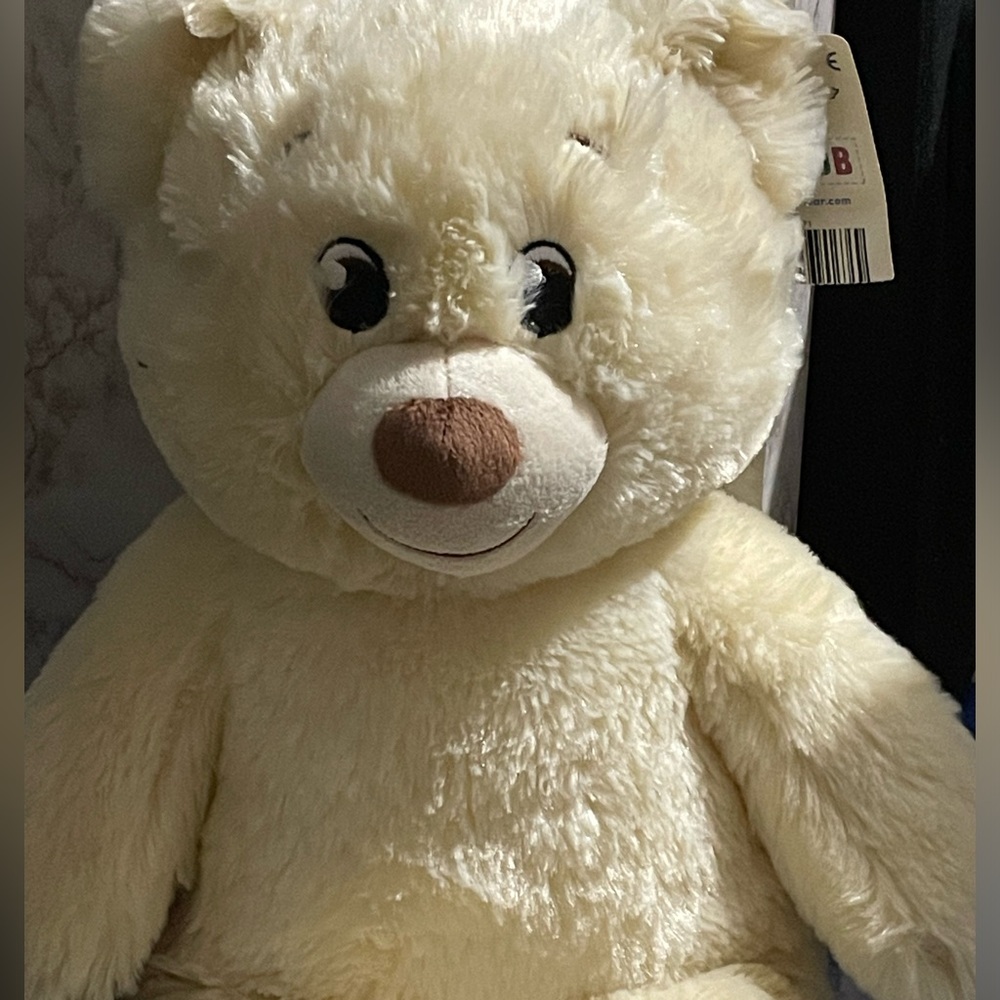 Build A Bear NWT